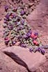 aconcagua052