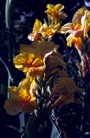 afrika1997_021