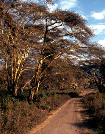 afrika1997_059