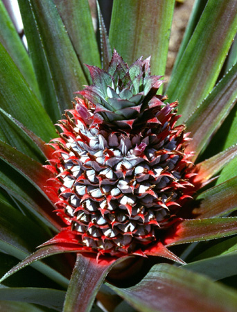 afrika1997_073