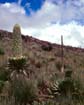 afrika1997_005