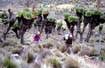 afrika1997_007