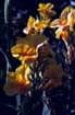 afrika1997_021