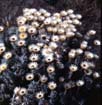 afrika1997_031