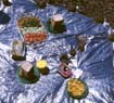 afrika1997_034