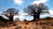 afrika1997_053