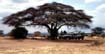 afrika1997_054