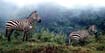 afrika1997_055