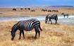 afrika1997_056