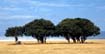 afrika1997_057