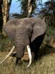afrika1997_058