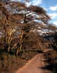 afrika1997_059