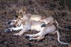 afrika1997_062