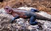 afrika1997_063