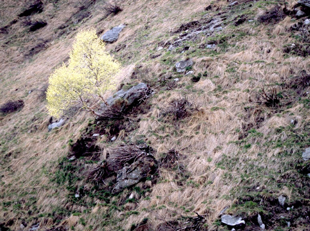 berge04_006