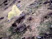 berge04_006