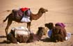egypt03_039