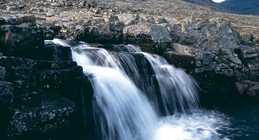 sarek02_008