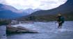 sarek02_013