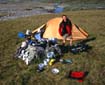 sarek02_016
