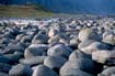 sarek02_036