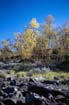 sarek02_038