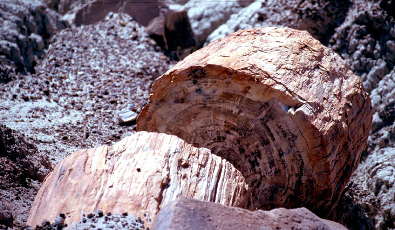 usa1997_014